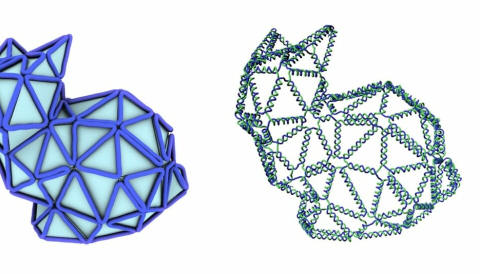 Four steps to building a 3D DNA nano-bunny. From left to right: First take an initial polygonal mesh design. Second, simulate how to route the DNA strands around the mesh crossing each edge only once. Third: simulate the final DNA design before going to the lab and building the bunny following the recipe created in steps 1 to 3. This bunny (on the right) is imaged using transmission electron microscopy, and is a little under 50 nanometers wide. (Image: Erik Benson and Björn Högberg)