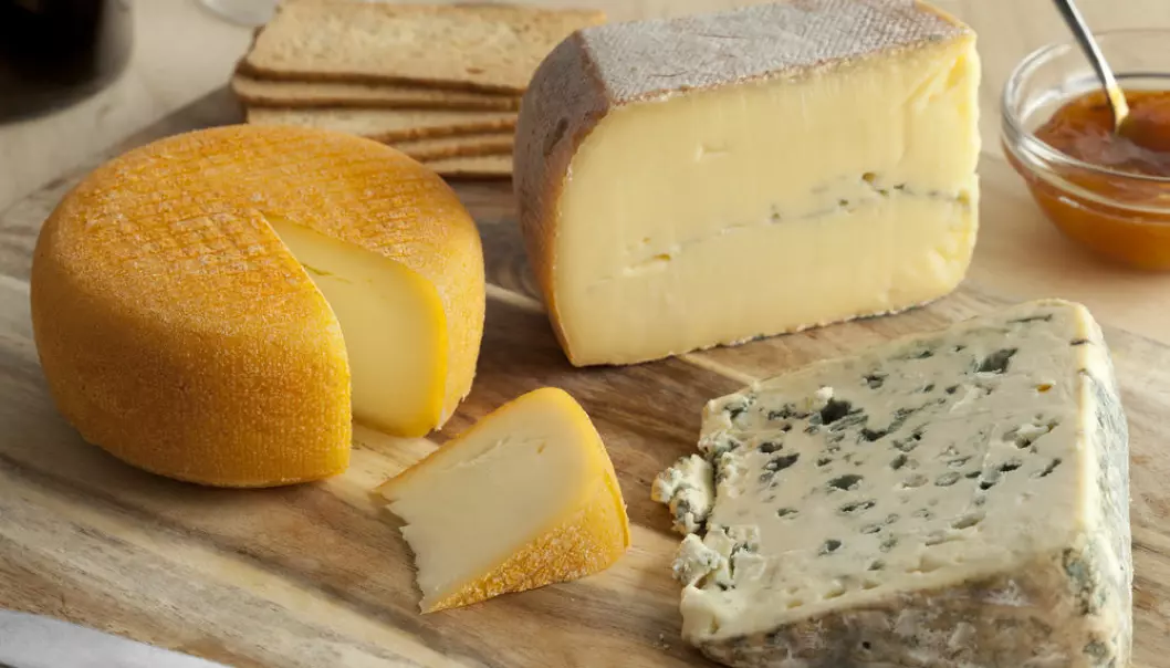 According to new research, a piece of full fat brie may not be as bad as you may think, and even may help to keep heart disease at bay. (Foto: Shutterstock)