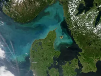 A phytoplankton bloom off the Danish coast – these tiny marine organisms form the base of the marine food chain, but scientists do not know for sure how changing ocean conditions affect this vital food source for marine wildlife. (Photo: <a href="https://www.flickr.com/photos/gsfc/4691434870 " target="_blank">Flickr NASA Goddard Space Flight Center, creative commons licence</a>)

