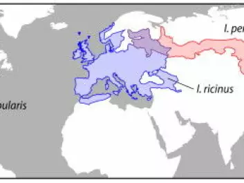 Tick species that carry the Borrelia miyamotoi bacterium are now found all over the world. (Illustration: Krause et al. 2015)