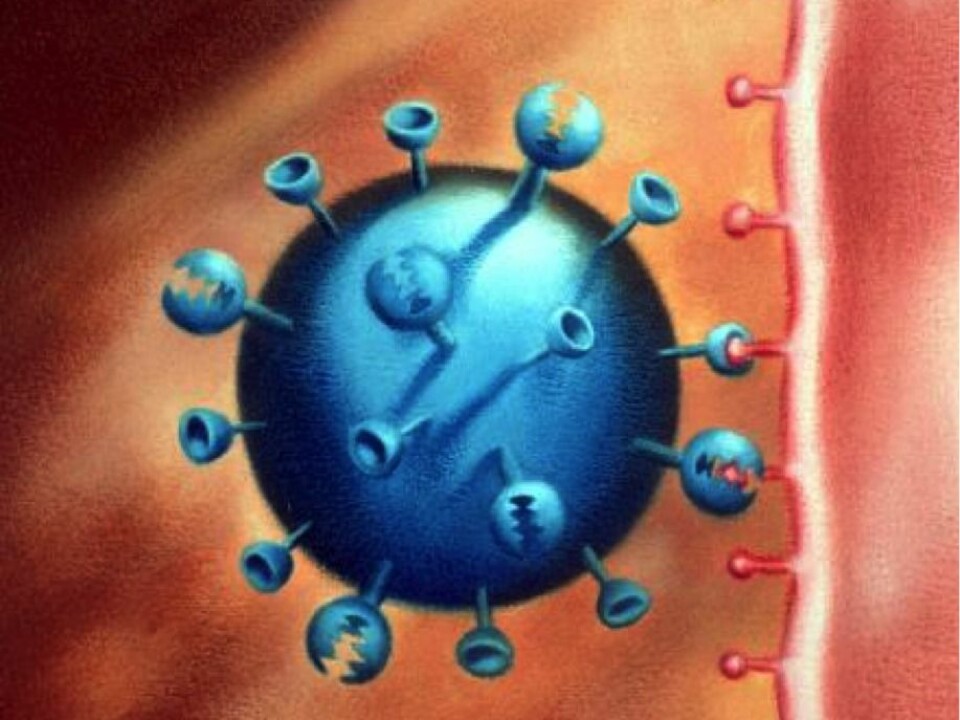 The illustration shows a flu virus, with a row of proteins, the so-called haemagglutinin molecules, on the virus surface. Influenza vaccines are normally directed towards the 'head' of haemagglutinin, but researchers have now developed a method to target the stem. (Illustration: CSIRO)