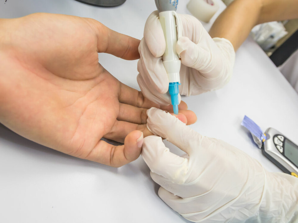Study participants had blood samples taken before and after the eight weeks of intensive training. (Photo: Shutterstock)
