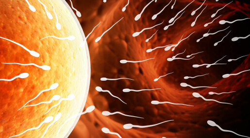 Scientists find genetic ‘ignition key’ in human embryos