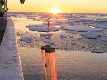 Sampling the icy waters of the North Atlantic Ocean for copepods (Photo: Sigrún Jónasdóttir) Sampling the icy waters of the North Atlantic Ocean for copepods (Photo: Sigrún Jónasdóttir)
