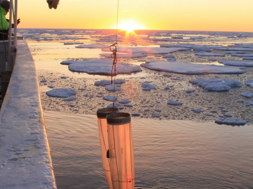 Sampling the icy waters of the North Atlantic Ocean for copepods (Photo: Sigrún Jónasdóttir)