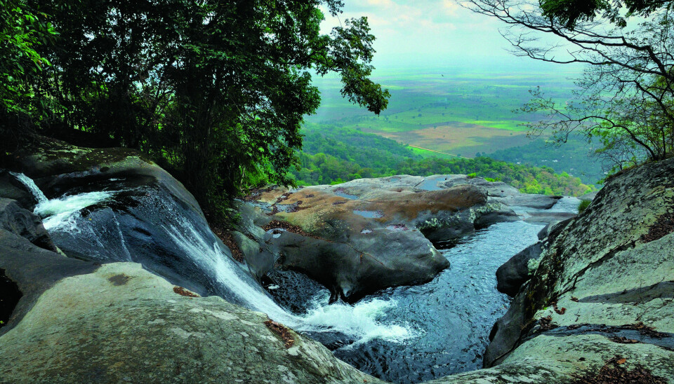 Sanja Falls in Udzungwa rainforest, Tanzania. According to the Natural History Museum, the forest was largely unexplored when the museum scientists first studied it. (Photo: Steffen Brøgger-Jensen)