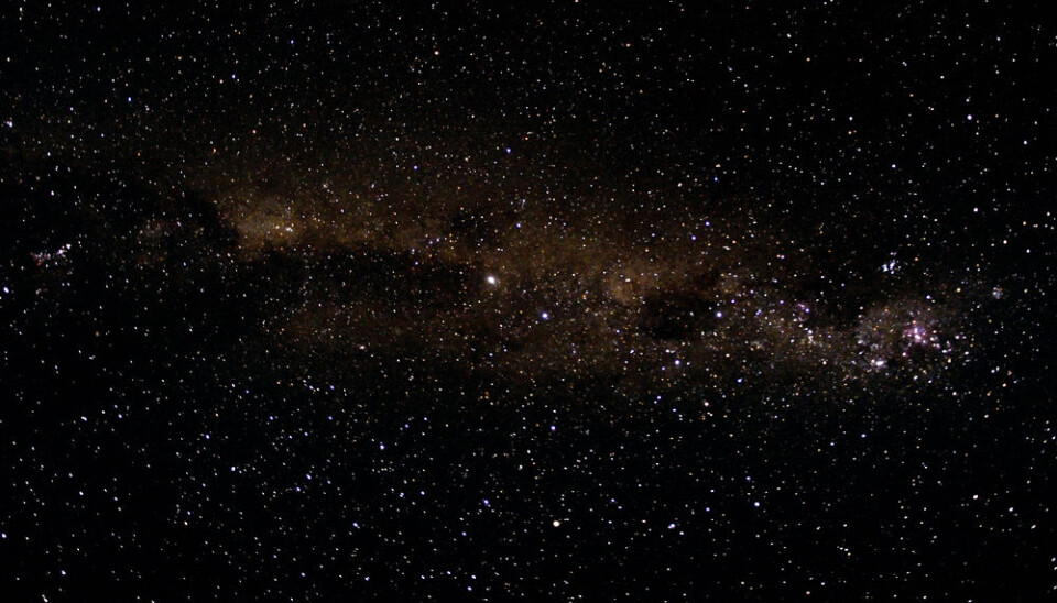 Little lemmings are monitored from space