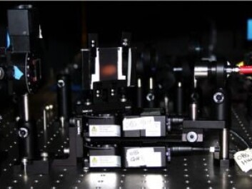 In the new study, researchers directed light onto specimens of plants and bacteria, and measured the polarisation of the reflected light. (Photo: Tina Santl-Temkiv) In the new study, researchers directed light onto specimens of plants and bacteria, and measured the polarisation of the reflected light. (Photo: Tina Santl-Temkiv)