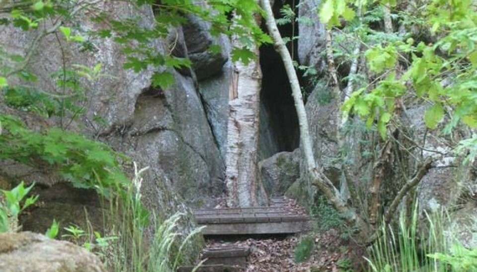 The entranceway to the second cave is a bit wider. (Photo: Ludvig Papmehl-Dufay)