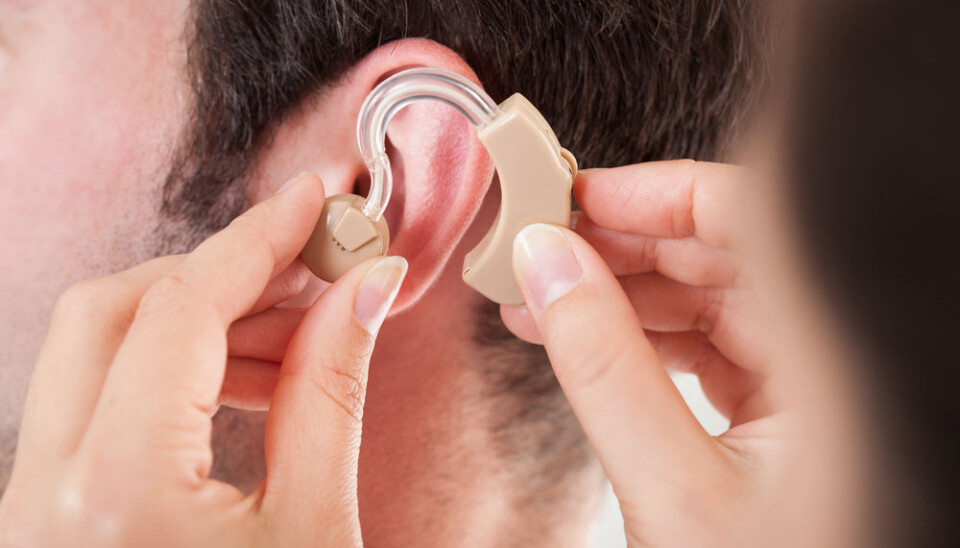 Hearing aids have an annoying problem: acoustic feedback that sounds like howling in the ears. Scientists at DTU are working on a solution. (Photo: Shutterstock) Hearing aids have an annoying problem: acoustic feedback that sounds like howling in the ears. Scientists at DTU are working on a solution. (Photo: Shutterstock)