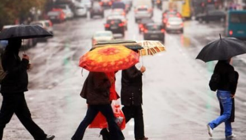 Bacteria in the atmosphere may play a role in making rain. Scientists are investigating whether including this in their computer models could improve future weather forecasts. (Photo: Colorbox)