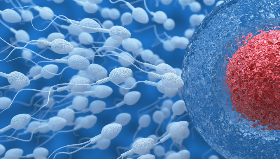 Fewer sperms were good swimmers in an examination of men who had high levels of the chemical compound DEHP in their urine. (Illustrative photo: Microstock)