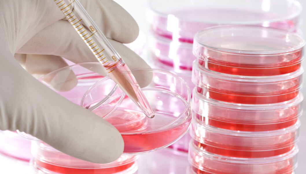 Cancer research joins forces with parasitology to develop new cancer treatments: a malaria protein that may be used as a weapon against cancer. (Photo: <a href http://www.shutterstock.com/pic-19115449.html target="blank_">Shutterstock</a>) Cancer research joins forces with parasitology to develop new cancer treatments: a malaria protein that may be used as a weapon against cancer. (Photo: <a href http://www.shutterstock.com/pic-19115449.html target="blank_">Shutterstock</a>)