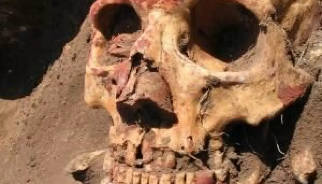 Scientists have sequenced the genome of ancient plague bacteria, Yersinia pestis, in a 5000 year-old skull from the Yamnaya culture in the Caucasus. The Yamanya were behind major upheavals in Northern Europe during the Bronze Age. (Photo: Rasmussen et al. / Cell 2015)