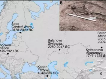 The map shows the locations of the Bronze Age skeletons infected with plague. You can see where the finds were made, along with the names of their culture and how old they are. The picture shows one of these graves: the Bulanovo grave. (Photo: Mikhail V. Khalyapin)