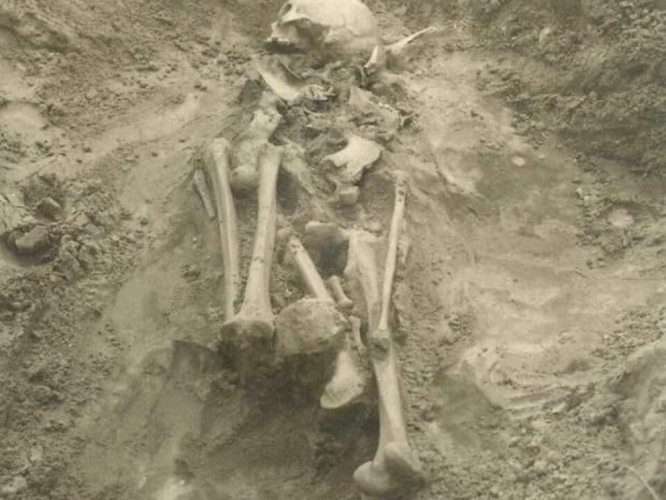 Skeleton buried in Sope, Latvia about 4,500 years ago. (Photo: Harri Moora)