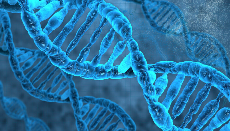 Researchers have found a key mechanism by which cells can repair their own damaged DNA. The new results have implications for developing new, preventative cancer treatments. (Photo: Shutterstock)