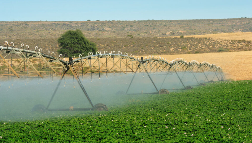 New research shows that irrigated agriculture not only leads to less democratic societies, but also an unequal distribution of land and wealth that explains the lack of democratic development today in many regions of the world. (Photo: <a href=http://www.shutterstock.com/pic-13050313 target="blank_">Shutterstock</a>)
New research shows that irrigated agriculture not only leads to less democratic societies, but also an unequal distribution of land and wealth that explains the lack of democratic development today in many regions of the world. (Photo: <a href=http://www.shutterstock.com/pic-13050313 target="blank_">Shutterstock</a>)