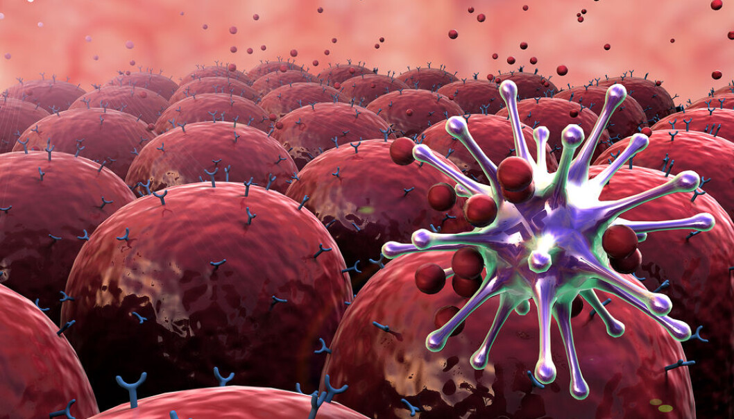 New immune system discovery could help in the fight against viruses such as herpes, HIV, and influenza. (Photo: <a href= http://www.shutterstock.com/da/pic-180113168/stock-photo-field-of-cells-field-of-cells-with-receptors-human-immune-system-attack-the-virus.html target=”blank_”>Shutterstock</a>) New immune system discovery could help in the fight against viruses such as herpes, HIV, and influenza. (Photo: <a href= http://www.shutterstock.com/da/pic-180113168/stock-photo-field-of-cells-field-of-cells-with-receptors-human-immune-system-attack-the-virus.html target=”blank_”>Shutterstock</a>)