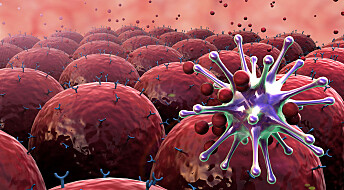 New part of the immune system discovered