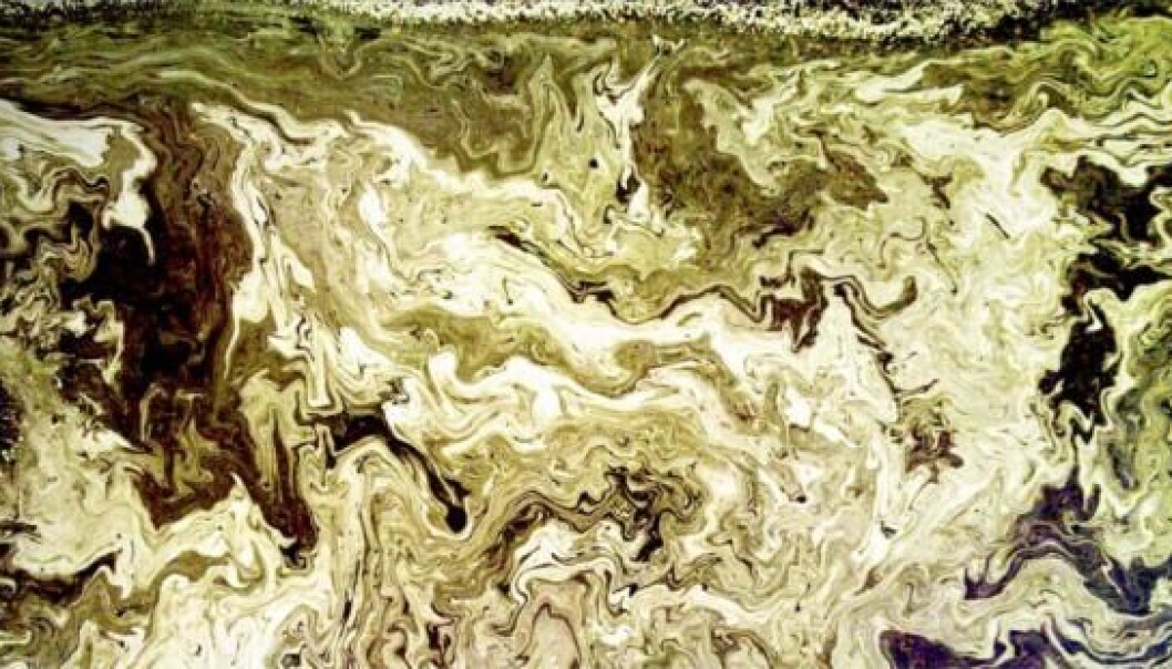 The Danish winning photo depicts pollen grains in an ordinary puddle. The small pollen grains look like a fluid when they are mixed with the water. (Photo: Kaare H. Jensen) The Danish winning photo depicts pollen grains in an ordinary puddle. The small pollen grains look like a fluid when they are mixed with the water. (Photo: Kaare H. Jensen)