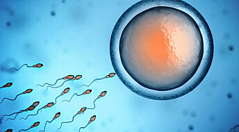 Obesity can be passed on through the father’s sperm