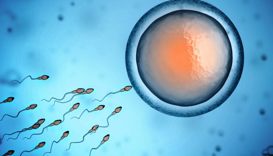 Sperm cells preserve information on men’s weight. (Photo: Shutterstock)