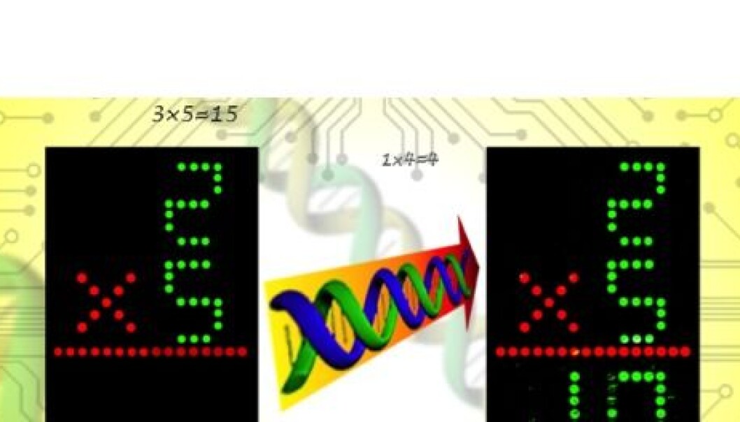 A DNA-based computer is designed to select the result of the multiplication of the two variables. The result is displayed as a number in a display of labelled DNA sequences. (Photo: Huajie Liu, Shanghai Institute of Applied Physics) A DNA-based computer is designed to select the result of the multiplication of the two variables. The result is displayed as a number in a display of labelled DNA sequences. (Photo: Huajie Liu, Shanghai Institute of Applied Physics)