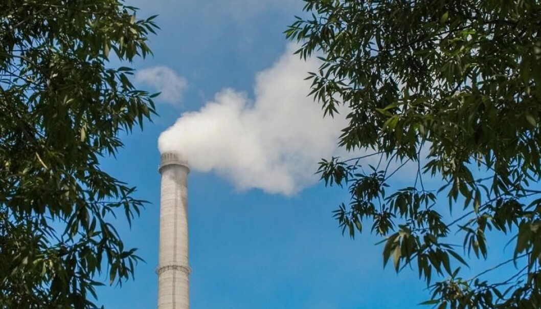 Land plants absorb about a third of all anthropogenic (human-caused) CO2 emissions. Swedish scientists have taken plants from herbariums ― samples of vegetation that died over a century ago ― and found that the CO2 absorption in the plants has increased. This carbon metabolism in plants might now be on the wane. (Photo: Colourbox) Land plants absorb about a third of all anthropogenic (human-caused) CO2 emissions. Swedish scientists have taken plants from herbariums ― samples of vegetation that died over a century ago ― and found that the CO2 absorption in the plants has increased. This carbon metabolism in plants might now be on the wane. (Photo: Colourbox)