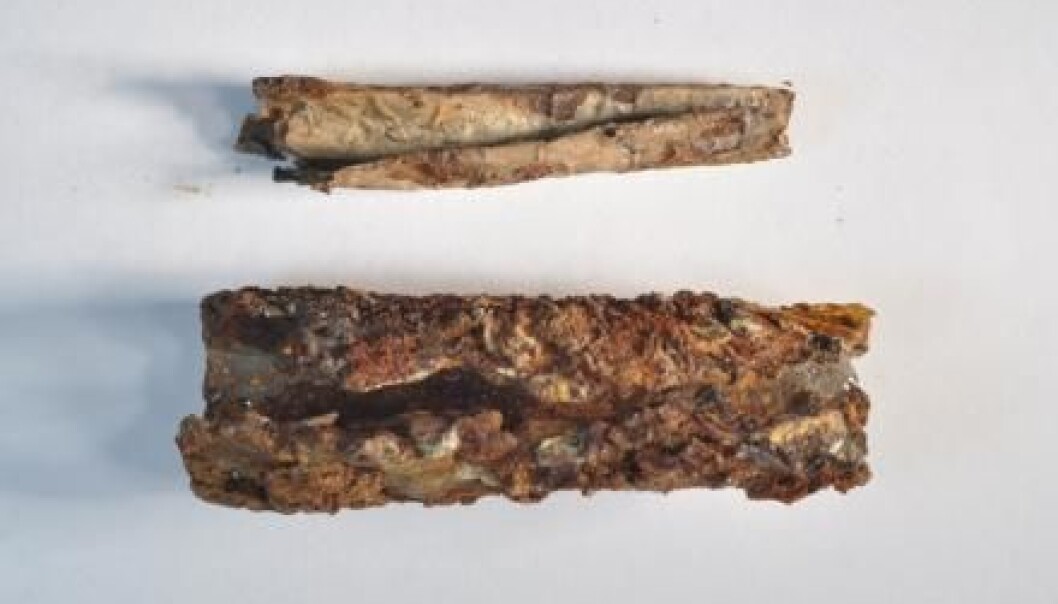 A 1,300 year-old cylinder containing a rolled plate of silver. (Photo: Rubina Raja) A 1,300 year-old cylinder containing a rolled plate of silver. (Photo: Rubina Raja)