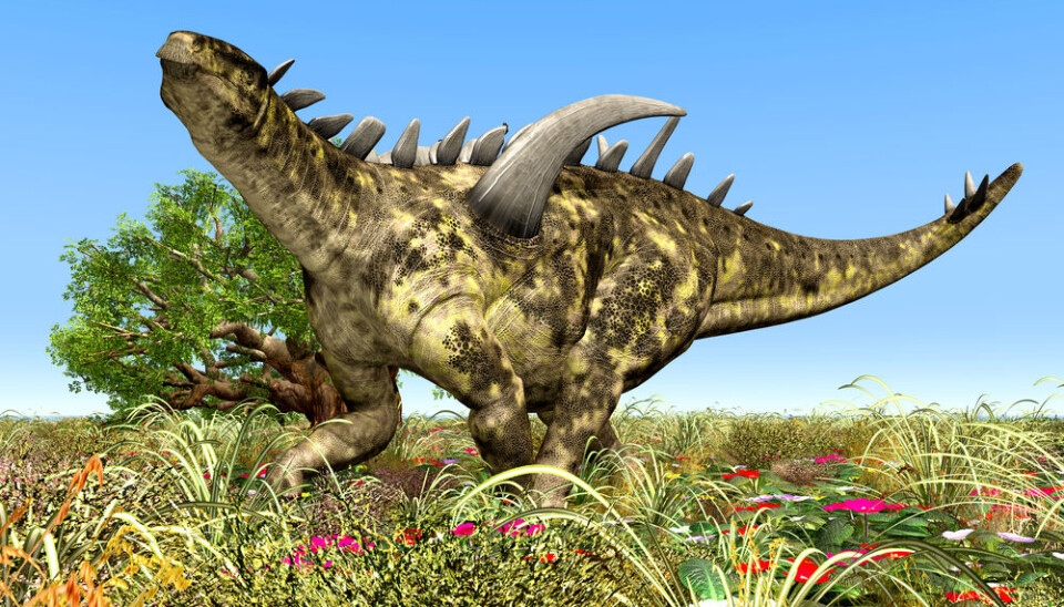 The discovery of the fossilised seeds gives a unique insight into the flowering plants of the dinosaur age. (Illustration: Shutterstock)