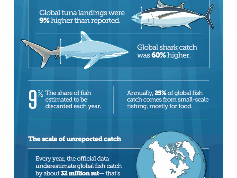 How much fish are we really catching? An infographic describes the full extent of overfishing, found to be among the top concerns among marine scientists when it comes to the threats facing the ocean. (Illustration: The Pew Charitable Trusts)