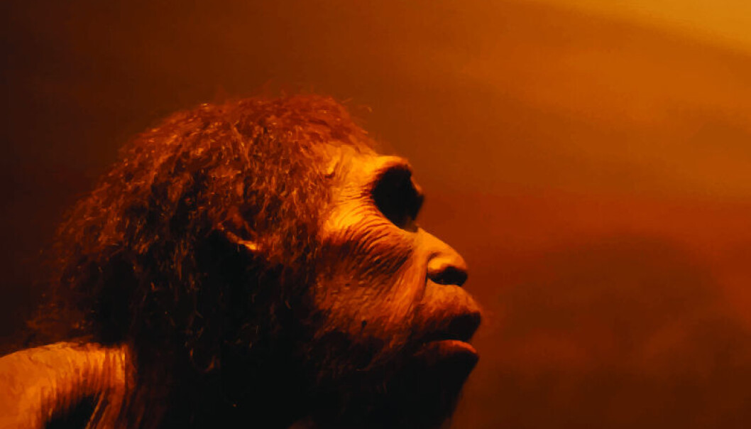 Did Neanderthals ever make it to Scandinavia? If not, then it wasn’t the climate that kept them away. (Photo: Shutterstock) Did Neanderthals ever make it to Scandinavia? If not, then it wasn’t the climate that kept them away. (Photo: Shutterstock)