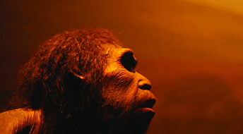 Neanderthals could have survived in Scandinavia