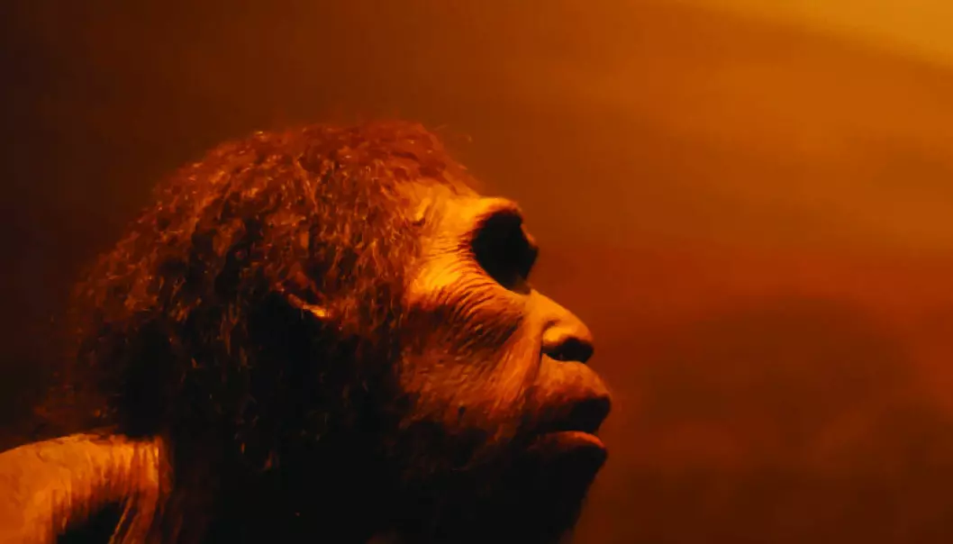 Did Neanderthals ever make it to Scandinavia? If not, then it wasn’t the climate that kept them away. (Photo: Shutterstock)