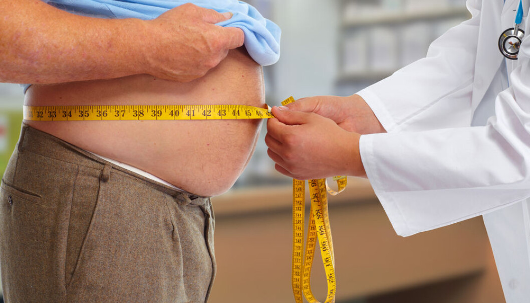Removing the USF1 gene in mice improved levels of good fats (HDL cholesterol), reduced levels of triglycerides, and helped the mice to stay slim even when fed a high fat diet, shows new research. (Photo: Shutterstock) Removing the USF1 gene in mice improved levels of good fats (HDL cholesterol), reduced levels of triglycerides, and helped the mice to stay slim even when fed a high fat diet, shows new research. (Photo: Shutterstock)