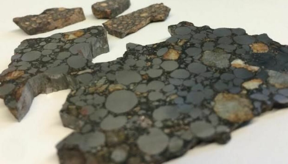 These meteorites may help us to understand the origin of life on Earth. (Photo: Elishevah van Kooten)