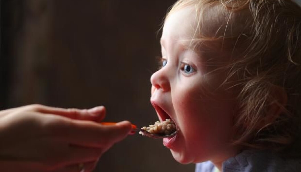 New research shows that fibre and protein promote healthy intestinal flora in infants, while fat has the opposite effect. (Photo: Shutterstock) New research shows that fibre and protein promote healthy intestinal flora in infants, while fat has the opposite effect. (Photo: Shutterstock)