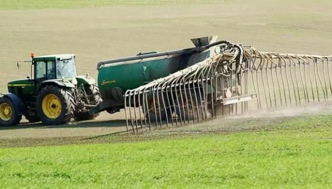Animal manure and slurry can spread antibiotic resistance, shows new research. It is the first evidence of such a clear association between the use of manure and the occurrence of antibiotic resistance in soil bacteria. (Photo: Colourbox)