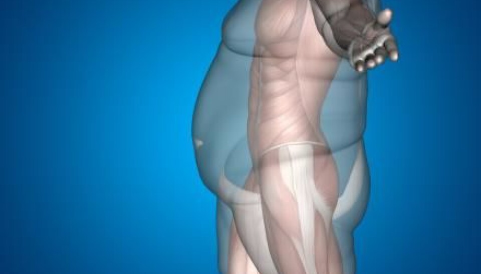 Gut bacteria release a substance that may increase fat storage in overweight people, suggests new research. (Photo: Shutterstock)