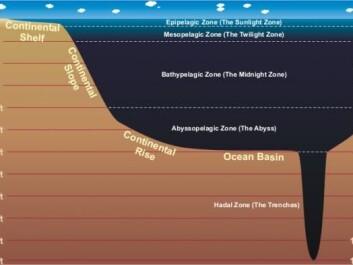 The sea is divided into five zones based on depth. A huge amount of fish that can be used to feed the earth's soaring population live in the mesopelagic zone (200 to 1000 meters deep) (Illustration: NOAA) The sea is divided into five zones based on depth. A huge amount of fish that can be used to feed the earth's soaring population live in the mesopelagic zone (200 to 1000 meters deep) (Illustration: NOAA)