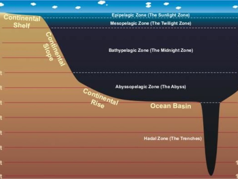 The sea is divided into five zones based on depth. A huge amount of fish that can be used to feed the earth's soaring population live in the mesopelagic zone (200 to 1000 meters deep) (Illustration: NOAA)