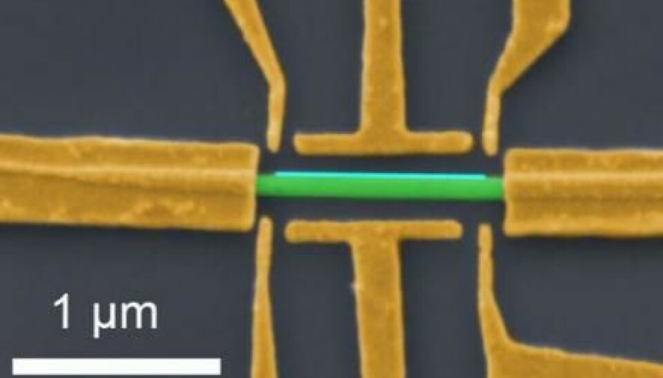 A nanowire (green) coated with a thin layer of aluminium (blue) connected to electrodes. These allow physicists to measure Majorana modes. The thread is less than a millionth of a metre thick. (Image: Nature)
