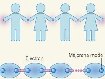 Each electron in the superconducting semiconductor behaves as if it is paired with another electron, like people holding hands in a row. At the end of the chain are Majorana modes. (Illustration: J. Alicea / Nature) Each electron in the superconducting semiconductor behaves as if it is paired with another electron, like people holding hands in a row. At the end of the chain are Majorana modes. (Illustration: J. Alicea / Nature)