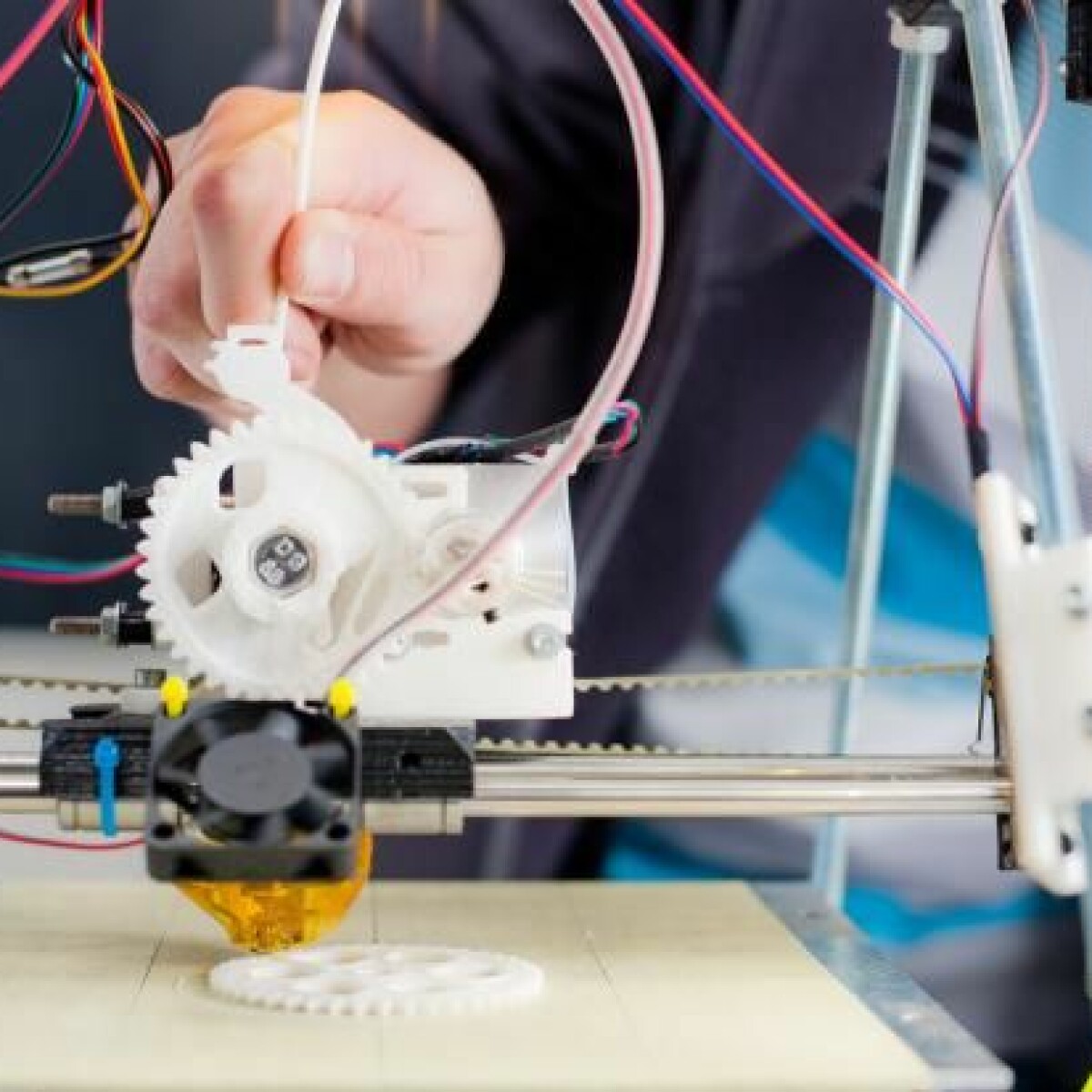 deadline Til Ni lidelse 3D-printed organs give insights to complex anatomy