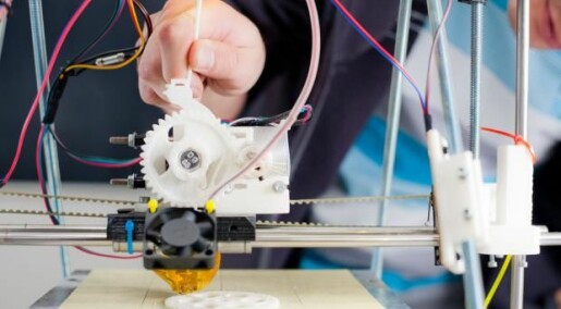 3D-printed organs give insights to complex anatomy