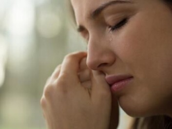 The risk of developing an atrial fibrillation is highest eight to fourteen days after the death of a partner. After which, it decreases gradually. (Photo: <a href=http://www.shutterstock.com/da/pic-247411297/stock-photo-close-up-of-young-woman-with-problems-crying.html target="_blank">Shutterstock</a>)
The risk of developing an atrial fibrillation is highest eight to fourteen days after the death of a partner. After which, it decreases gradually. (Photo: <a href=http://www.shutterstock.com/da/pic-247411297/stock-photo-close-up-of-young-woman-with-problems-crying.html target="_blank">Shutterstock</a>)
