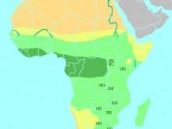 The dark green area in the map shows the tropical rainforest where charcoal is used to fertilise the soil. (Photo: Wikipedia). The dark green area in the map shows the tropical rainforest where charcoal is used to fertilise the soil. (Photo: Wikipedia).