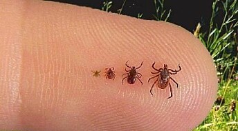 Tick sequencing may eradicate Lyme disease