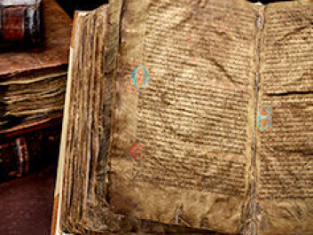 The so-called Hauksbok from 1300 CE. The book includes the story of Ragnar Lodbrog’s sons. (Photo: University of Copenhagen) The so-called Hauksbok from 1300 CE. The book includes the story of Ragnar Lodbrog’s sons. (Photo: University of Copenhagen)